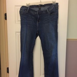 Torrid jeans